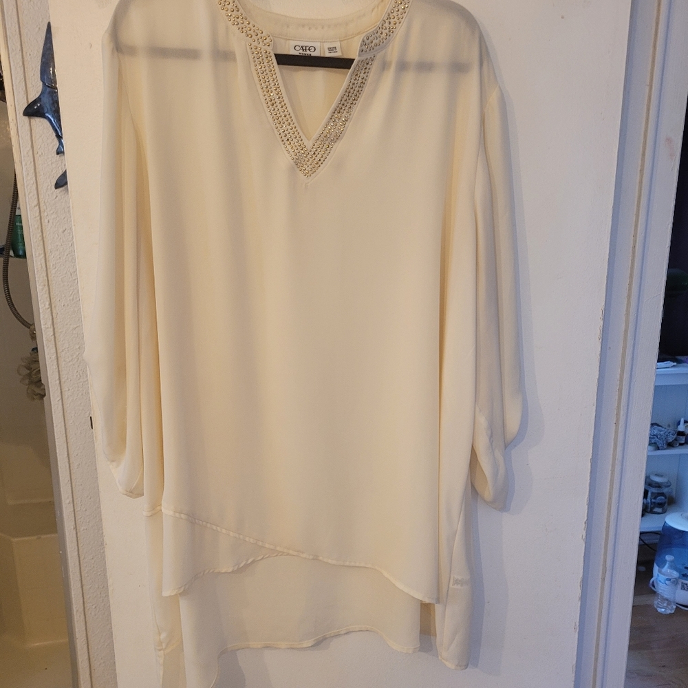 Beautiful silky sheer dress shirt